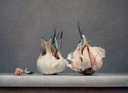 Wim Blom-Garlic on a shelf