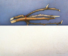 Wim Blom - Tied twigs 1998 egg tempera on paper
